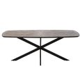 Ray Dining Table - 200cm - 8 Seater - Starburst - Star Base - Dark Brown and Black - Recycled Wood