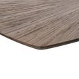 Ray Dining Table - 200cm - 8 Seater - Starburst - Star Base - Dark Brown and Black - Recycled Wood