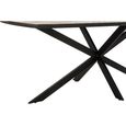 Ray Dining Table - 200cm - 8 Seater - Starburst - Star Base - Dark Brown and Black - Recycled Wood