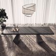 Krystal Italian Extending Dining Table - 200cm-300cm - 8-12 Seater - Tent Base - Medblue Birch Gloss - Wooden and Metal
