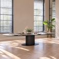 Gordon Dark Wood 300cm 12 Seater Oval Pedestal Dining Table thumbnail