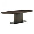 Gordon Brown 210cm 8 Seater Oval Pedestal Dining Table thumbnail 2