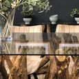 Branchwood Glass Top 6 Seater 180cm Dining Table thumbnail 4