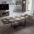 Armonia Italian Extending Dining Table - 200cm-250cm - 8-10 Seater - Silver Birch