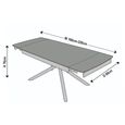 Apollo Extending Dining Table - 6-10 Seater - 160cm-220cm - Grey Ceramic - Black Base