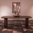 Baldwin Dining Table - 230cm - 10 Seater - Double Pedestal - Mango Wood