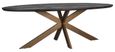 Blackbone Black and Brass 12 Seater Oval Dining Table with Spider Legs