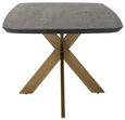 Cambon Dark Oak and Brass 12 Seater Dining Table with Spider Legs