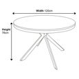 Clearance - Ezra 4 Seater Grey Concrete Round Dining Table with Black Spider Legs - 120cm
