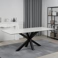 Heaven Dining Table - 8 Seater - 200cm - White Ceramic and Black - with Star Legs