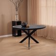 Jesper Dining Table - 120cm - 6 Seater - Round - Star Base - Black - Mango Wood