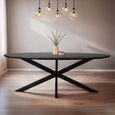 Jesper Dining Table - 240cm - 10 Seater - Oval - Star Base - Black - Mango Wood