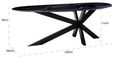 Trocadero Black Marble 8 Seater Dining Table with Spider Legs