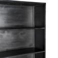 Kala Display Cabinet - 2 Door - Black - Mango Wood