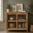 Daisy Carved Display Cabinet - 2 Door - Natural - Glass and Mango Wood