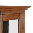 Display Cabinet - 2 Door - Tall - Brown - Glass and Wood