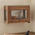 Unique One of a Kind - Wall Display Cabinet - 1 Door - Rustic Natural - Glass and Wood