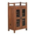 Unique One of a Kind - Display Cabinet - 2 Door - Rustic Brown - Glass and Wood