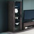 Heritage Display Cabinet - 1 Glass Door - Left - Dark Velvet Birch High Gloss