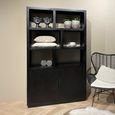 Jaxx Display Cabinet - 2 Door - Black - Mango Wood