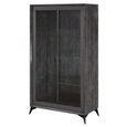 Krystal Italian Display Cabinet - 2 Door - Medblue Birch Gloss - Glass and Wooden
