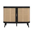 Noah Small Sideboard - 100cm - 2 Door - Black and Rattan