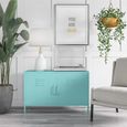 Novogratz Cache Accent Sideboard - Mint Locker - 2 Doors - 4012811COMNUK