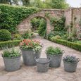 Garden Planter Bucket - Set of 5 - Metal