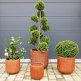 Garden Planter - Set of 4 - Terracotta Effect - Fibre Clay