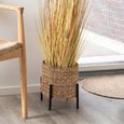 Antas Planter Waterhyacinth Natural Metal thumbnail