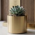 Donna Planter - Round - Brushed Gold - Metal
