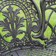 Garden Bench - Black - Aluminium