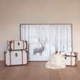 Storage Trunk - Set of 3 - Ecru and Brown - Wood