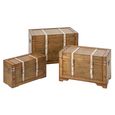 Storage Trunk - Set of 3 - Antique Brown - Wood