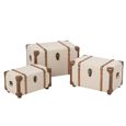 Storage Trunk - Set of 3 - Ecru and Brown - Wood