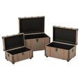 Storage Trunk - Set of 3 - Olive and Brown - Wood