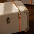 Storage Trunk - Set of 3 - Olive and Brown - Wood