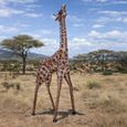 Brown Small Giraffe Garden Statue thumbnail