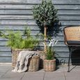 Bogor Basket - Round - Kubu Rattan - Set of 4