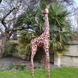 Clearance - Giraffe Small Garden Statue - FSS17320
