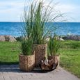 Set of 3 Huelva Basket Seagrass Natural Decor thumbnail