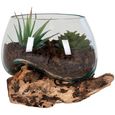 San Marino Small Waterdrop - Teak Wood & Glass
