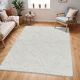 Cloudy Rug - High Pile Shaggy - CDG2319 - Beige - Sizes Available