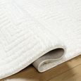 Nomadic Rug - Shaggy Modern Plush Pile - NMC2314 - Ivory - Sizes Available