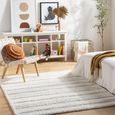 Rodos Rug - Modern Shaggy - RDO2318 - Beige - Sizes Available