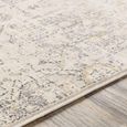Indigo Rug - Oriental Vintage - IGO2306 - Grey - Sizes Available