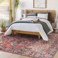 Iris Rug - Vintage Oriental Boho - IRS2310 - Bright Red - Sizes Available