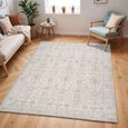 Spokane Rug - Our PNW Home X Surya - Oriental Vintage - PNWSP2301 - Beige - Sizes Available