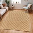 Pismo Rug - Beach Jute Checkered - PMB2310 - Brown - Sizes Available