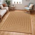 Pismo Rug - Beach Jute - PMB2305 - Brown - Sizes Available